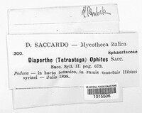 Image Associated With the Occurence